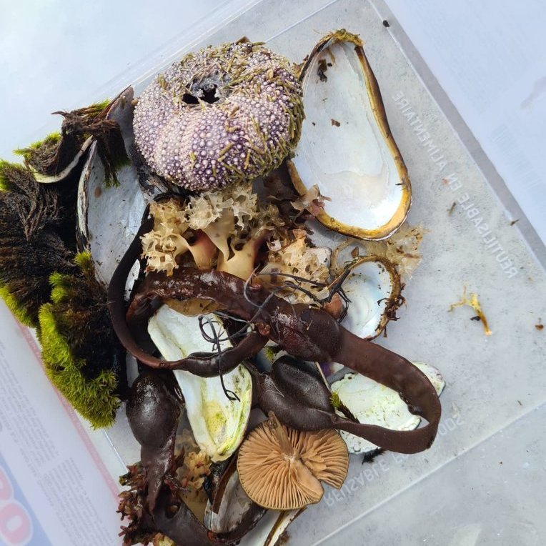 310721327_5436225886466044_1437716878228916229_n