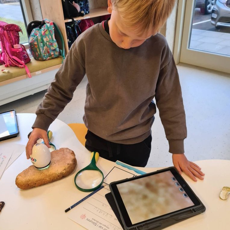 310750012_1158403391422307_798689326019088343_n