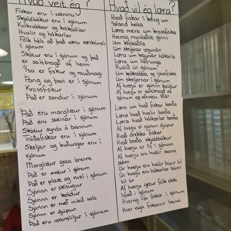 310844255_801736090948915_3540416234384758203_n