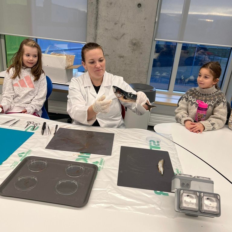 312263288_859327942089852_3971433331900418471_n