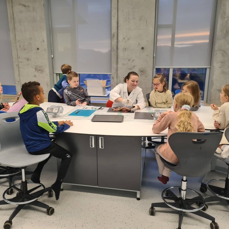 312316495_413403464144246_176458948679809527_n