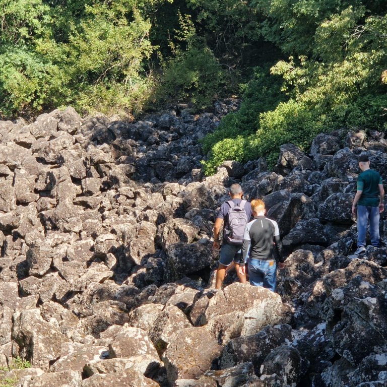 6dd6ae66-c1fc-4726-9c63-d330fe63f3b7