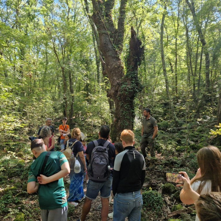 7602dd96-3f76-49c5-8dcf-a4c67dc5d542