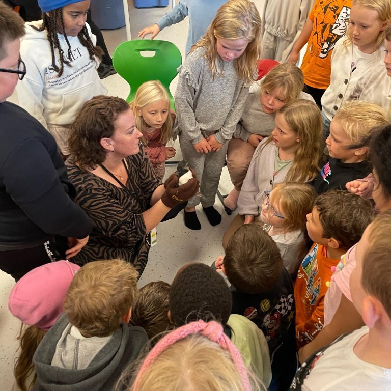 307647533_833814908031052_1854893708709999510_n