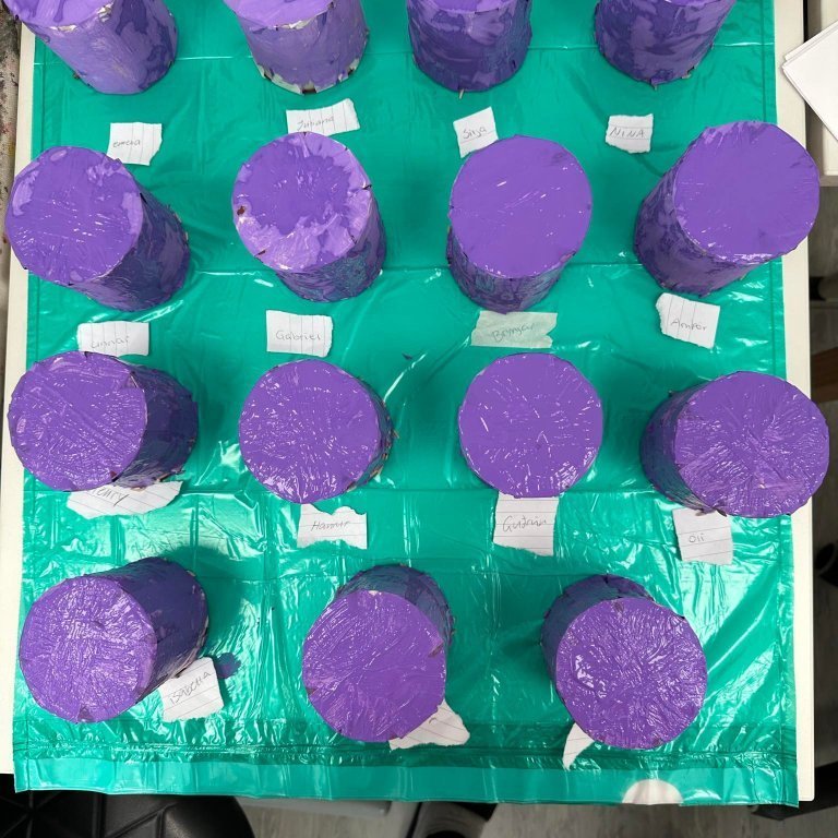 371796092_853928139073433_5603069397707546889_n