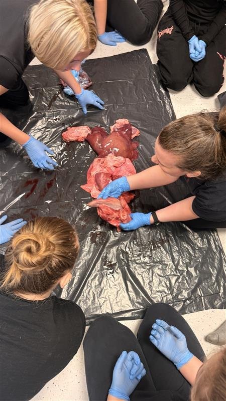 Krufning hjá 9. og 10. bekk