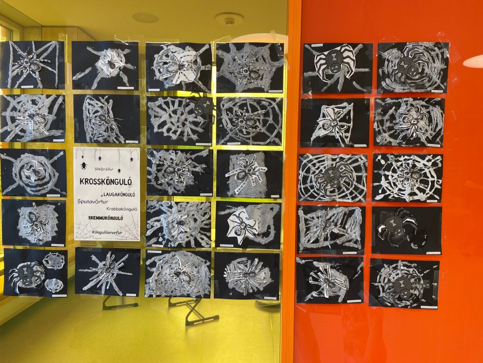 Köngulær í 3. bekk - þemavinna