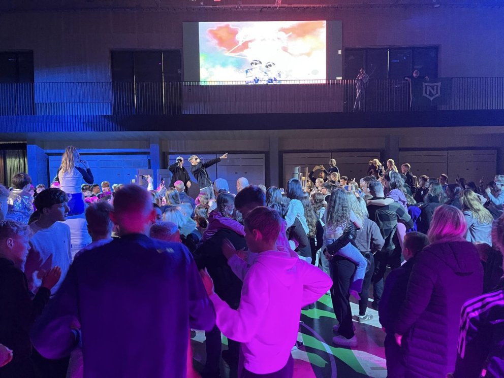 Þemadagar í Stapaskóla