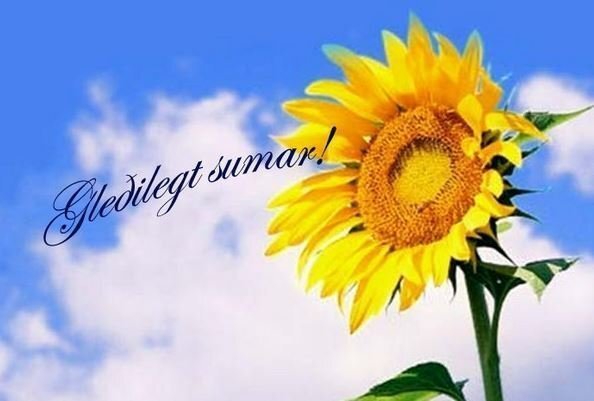 Sumardagurinn fyrsti