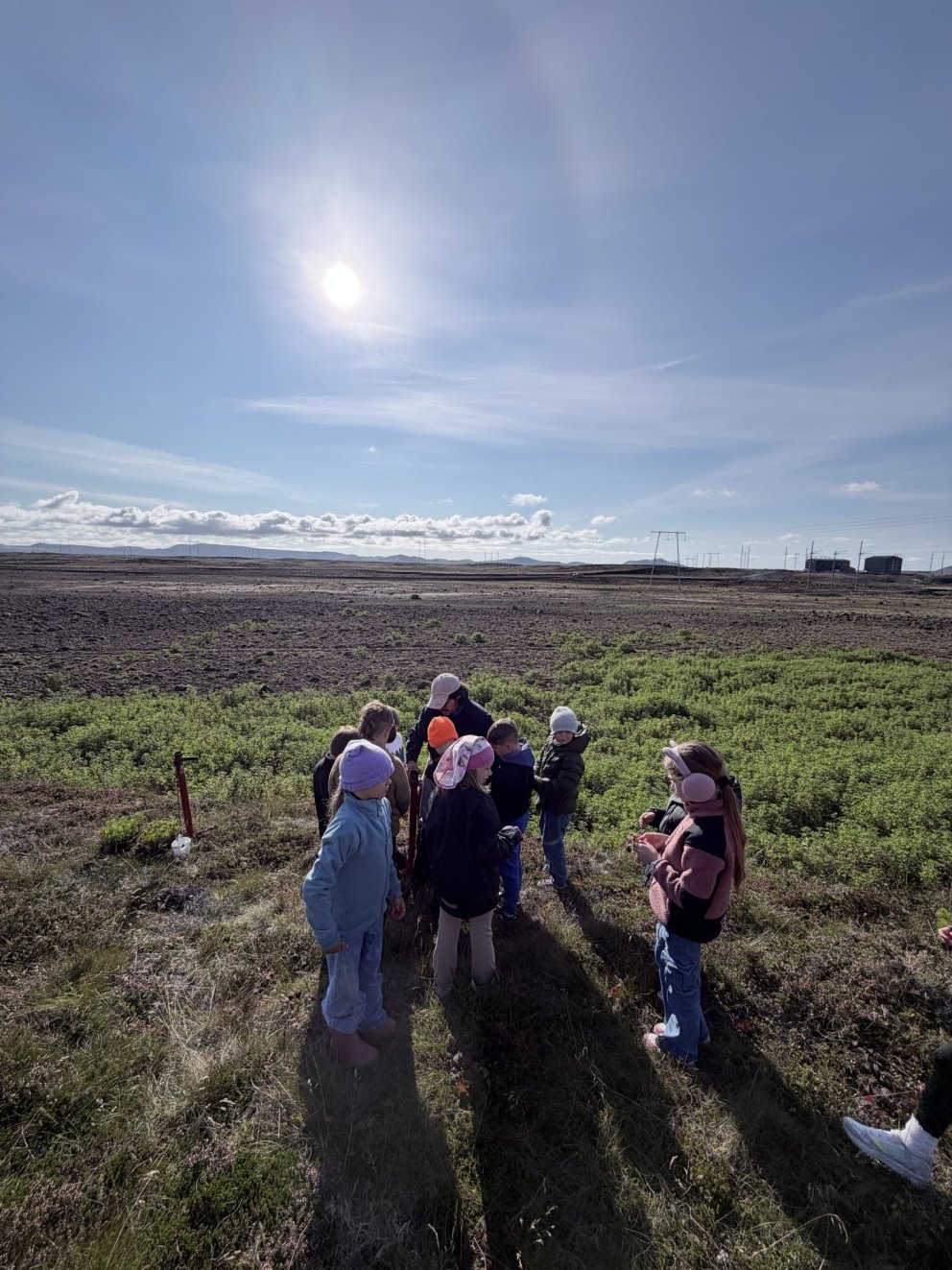 Skemmtilegur skógræktardagur á Njarðvíkurheiði 🌱🌳