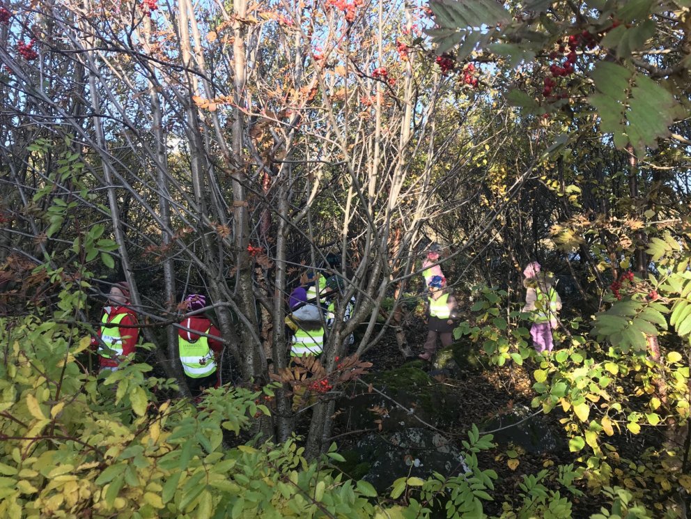 Sumarfrí á leikskólastigi 2022