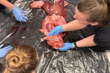 Krufning hjá 9. og 10. bekk