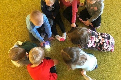 Blue bot á leikskólastigi