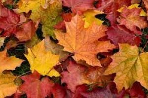 Vetrarfrí og starfsdagur