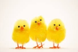 Páskafrí í Stapaskóla