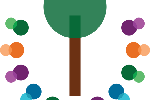 Aðalfundur foreldrafélags Stapaskóla