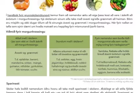 Ráðleggingar um mat og mataræði í grunnskólum