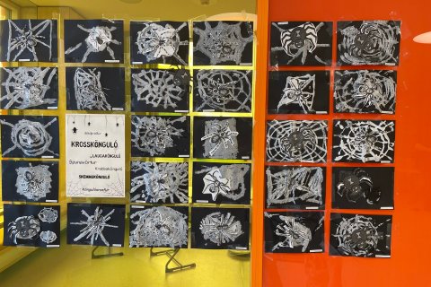 Köngulær í 3. bekk - þemavinna