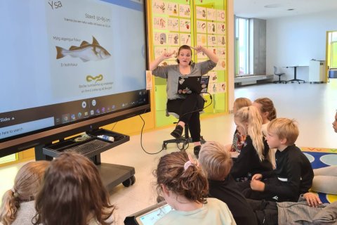 Hafið í 2. bekk - þemavinna