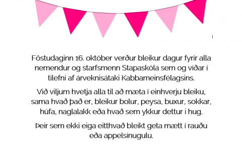 Bleikur dagur í Stapaskóla