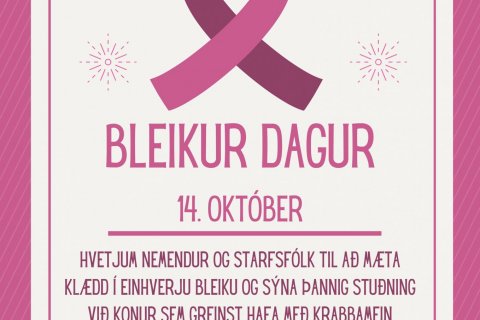 Bleikur dagur í Stapaskóla