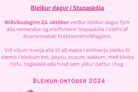Bleiki dagurinn