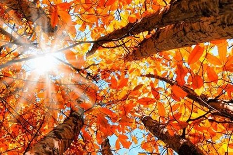 Vetrarfrí 28. - 29. október