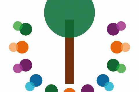 Hertar sóttvarnarreglur í Stapaskóla