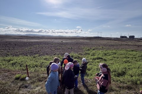 Skemmtilegur skógræktardagur á Njarðvíkurheiði 🌱🌳