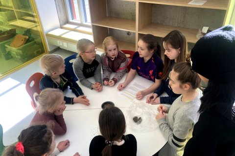 Sáning birkifræja - samvinnuverkefni 7. og 2. bekkjar ásamt nemendum á Óskasteini