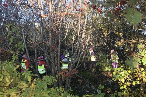 Sumarfrí á leikskólastigi 2022