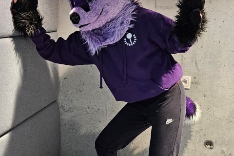 Refurinn er lukkudýr Stapaskóla