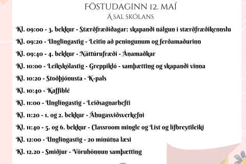 Málþing Stapaskóla - uppgjör teymiskennslu