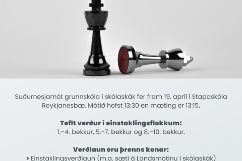 Suðurnesjamót í Skólaskák