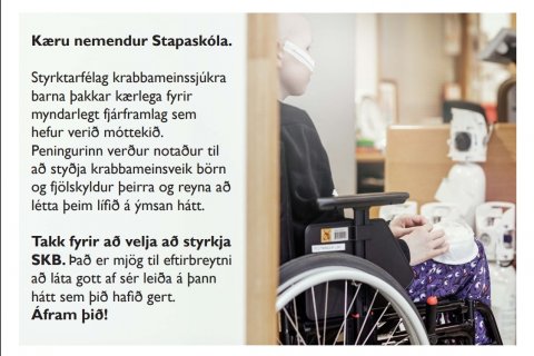 Nemendur Stapaskóla styrkja SKB