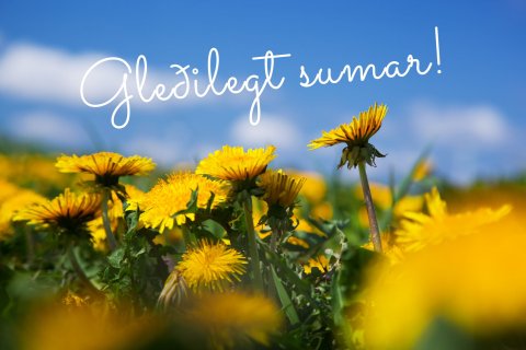 Sumardagurinn fyrsti