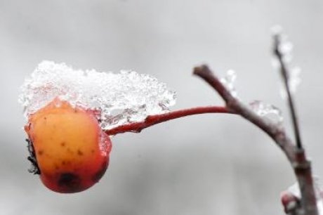 Starfsdagur og vetrarfrí 20. - 21. febrúar